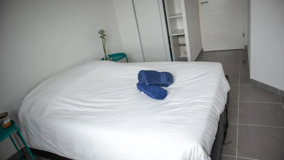 Rooftop Avec Vue Sur Les Pyrenees Et Jacuzzi, Au Pied Du Zenith トゥールーズ 0*,  フランス
